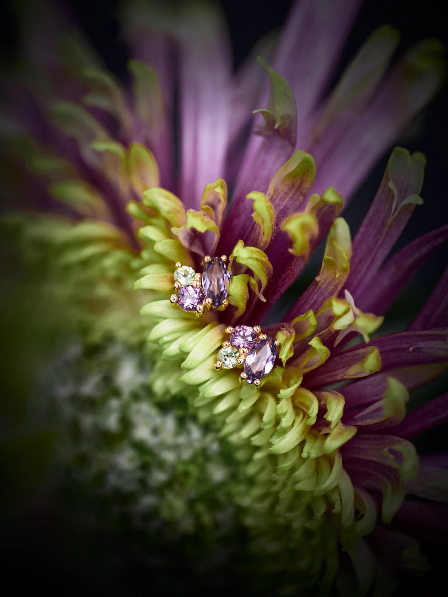 Farbsteine in Gold